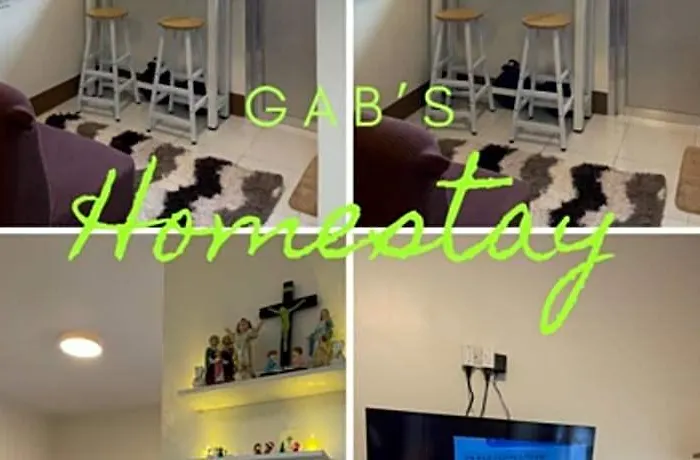 Hotel Next To It Park,fully-furnished Gabz Homey 3*